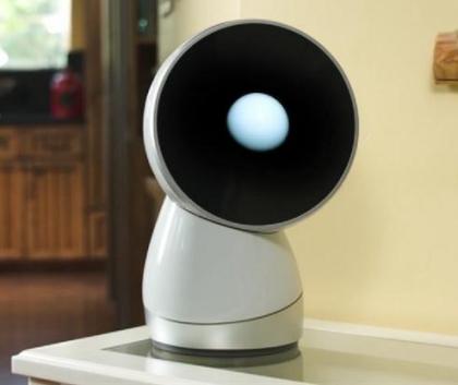 jibo robot