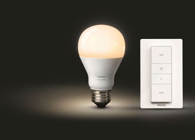 Philips Hue Dimming Kit