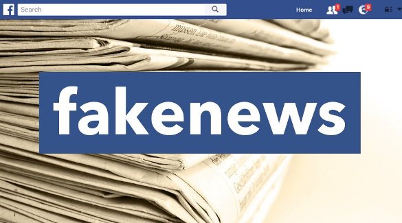 facebook combat false news